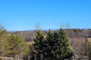 4 Carter Hill Dr, Leicester, NC 28748 - Photo 41