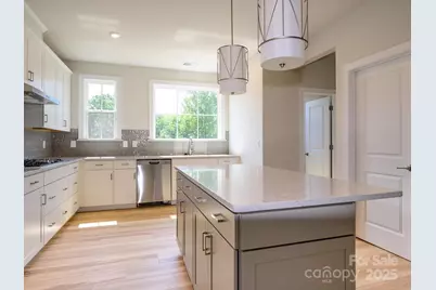 317 Old Town Village Road, Waxhaw, NC 28173 - Photo 1