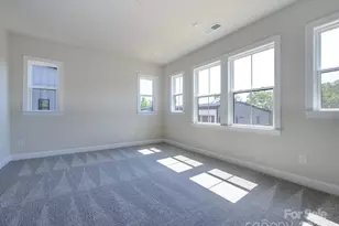 317 Old Town Vlg Rd, Waxhaw, NC 28173 - Photo 11