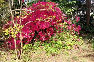 5987 Charlotte Hwy, Lancaster, SC 29720 - Photo 21