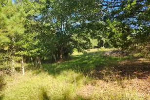 5987 Charlotte Hwy, Lancaster, SC 29720 - Photo 7