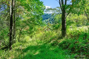 1099 Silas Branch Rd, Burnsville, NC 28714 - Photo 15