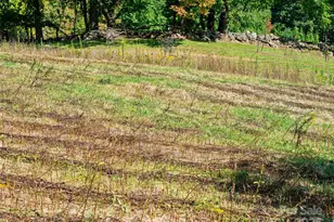 1099 Silas Branch Rd, Burnsville, NC 28714 - Photo 7