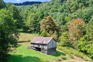 1099 Silas Branch Rd, Burnsville, NC 28714 - Photo 9