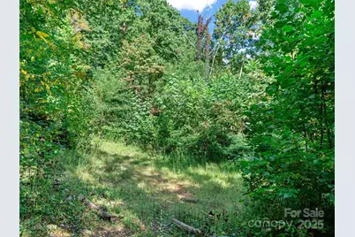 1099 Silas Branch Road, Burnsville, NC 28714 - Photo 19