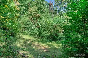 1099 Silas Branch Rd, Burnsville, NC 28714 - Photo 19