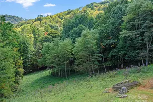 1099 Silas Branch Rd, Burnsville, NC 28714 - Photo 21