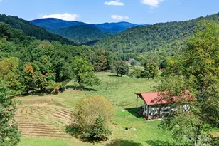 1099 Silas Branch Rd, Burnsville, NC 28714 - Photo 3