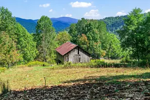 1099 Silas Branch Rd, Burnsville, NC 28714 - Photo 17