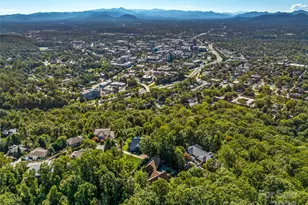 12 Trailridge Rd, Asheville, NC 28804 - Photo 45