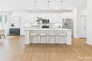 1708 Coral Bark Ln, Charlotte, NC 28216 - Photo 5