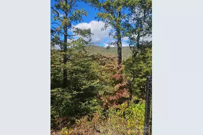 493 Spring Hill Road, Bakersville, NC 28705 - Photo 3