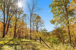 146 Promiseland Rd, Canton, NC 28716 - Photo 9