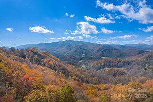 146 Promiseland Rd, Canton, NC 28716 - Photo 7