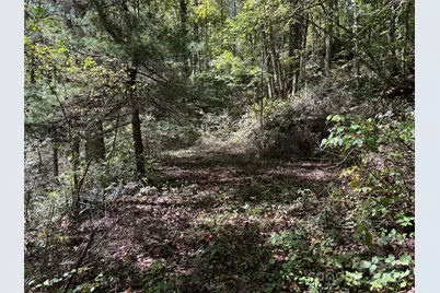 Tbd Happy Ridge Lane, Sylva, NC 28779 - Photo 3