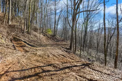 Tbd Happy Ridge Lane, Sylva, NC 28779 - Photo 5