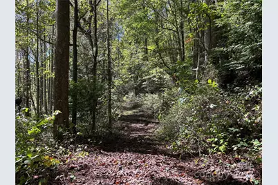 Tbd Happy Ridge Lane, Sylva, NC 28779 - Photo 5