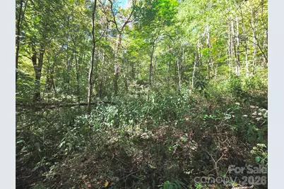 123 Live Oak Loop #29, Waynesville, NC 28785 - Photo 15