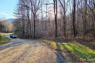 123 Live Oak Loop, Waynesville, NC 28785 - Photo 1