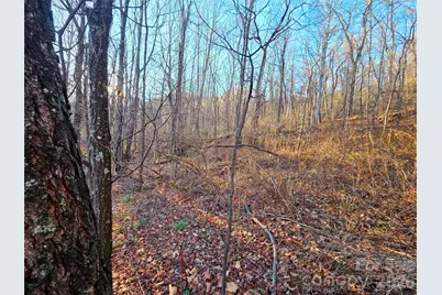 123 Live Oak Loop #29, Waynesville, NC 28785 - Photo 17