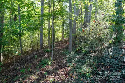 9 Sandon Circle, Asheville, NC 28804 - Photo 39