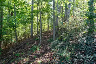 9 Sandon Cir, Asheville, NC 28804 - Photo 39