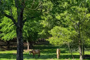 1845 Templeton Rd, Clover, SC 29710 - Photo 9