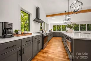 160 Lasae Ln, Tryon, NC 28782 - Photo 5