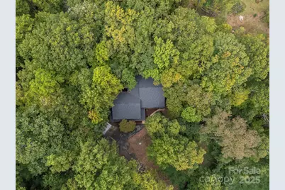 160 Lasae Lane, Tryon, NC 28782 - Photo 45