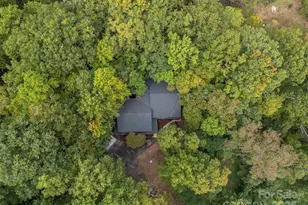 160 Lasae Ln, Tryon, NC 28782 - Photo 45