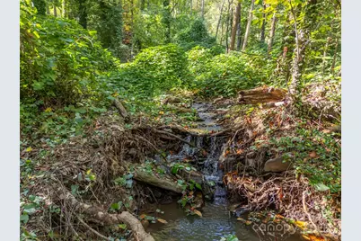 160 Lasae Lane, Tryon, NC 28782 - Photo 43