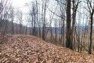 75 Rimrock Ridge, Clyde, NC 28721 - Photo 1