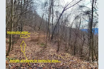 75 Rimrock Ridge #I, Clyde, NC 28721 - Photo 3