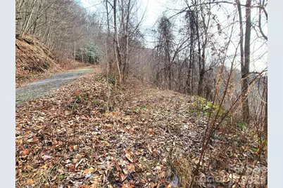 75 Rimrock Ridge #I, Clyde, NC 28721 - Photo 9