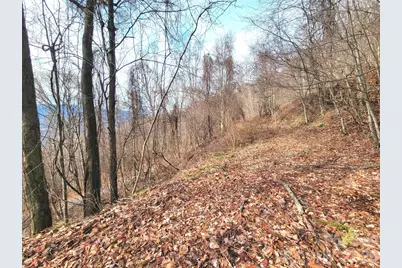 75 Rimrock Ridge #I, Clyde, NC 28721 - Photo 13