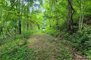 75 Rimrock Ridge, Clyde, NC 28721 - Photo 1