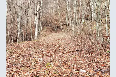 75 Rimrock Ridge #I, Clyde, NC 28721 - Photo 7