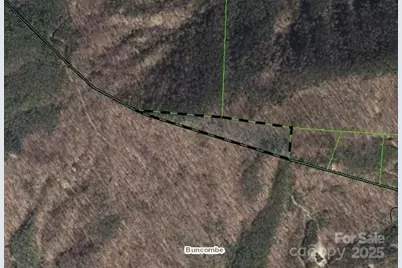 99999 Forest Brook Drive, Black Mountain, NC 28711 - Photo 15