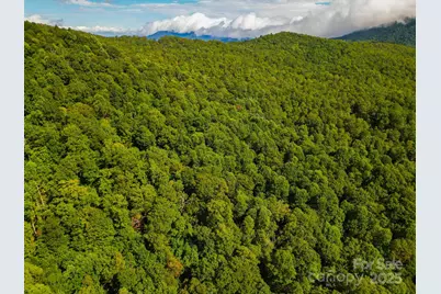 99999 Forest Brook Drive, Black Mountain, NC 28711 - Photo 13