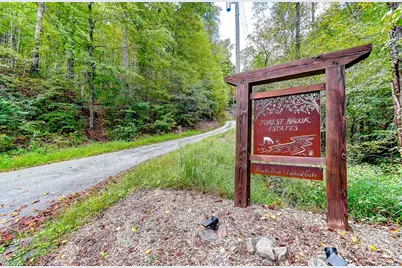 99999 Forest Brook Drive, Black Mountain, NC 28711 - Photo 1