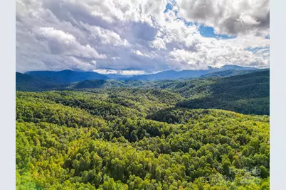 99999 Forest Brook Drive, Black Mountain, NC 28711 - Photo 9