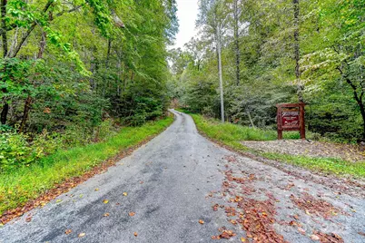 99999 Forest Brook Drive, Black Mountain, NC 28711 - Photo 11