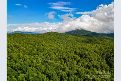 99999 Forest Brook Drive, Black Mountain, NC 28711 - Photo 7