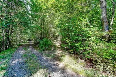 99999 Forest Brook Drive, Black Mountain, NC 28711 - Photo 3