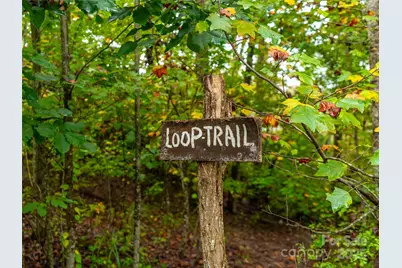 332 Millbrae Loop, Hendersonville, NC 28791 - Photo 7