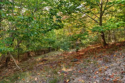 127 Mill Pond Lane, Beech Mountain, NC 28604 - Photo 41