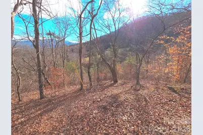 50 Feather Lane #50, Waynesville, NC 28786 - Photo 1