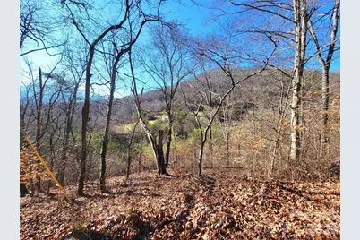 50 Feather Lane #50, Waynesville, NC 28786 - Photo 9