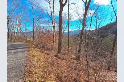 50 Feather Lane #50, Waynesville, NC 28786 - Photo 17