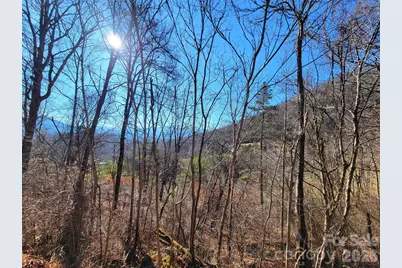 50 Feather Lane #50, Waynesville, NC 28786 - Photo 13